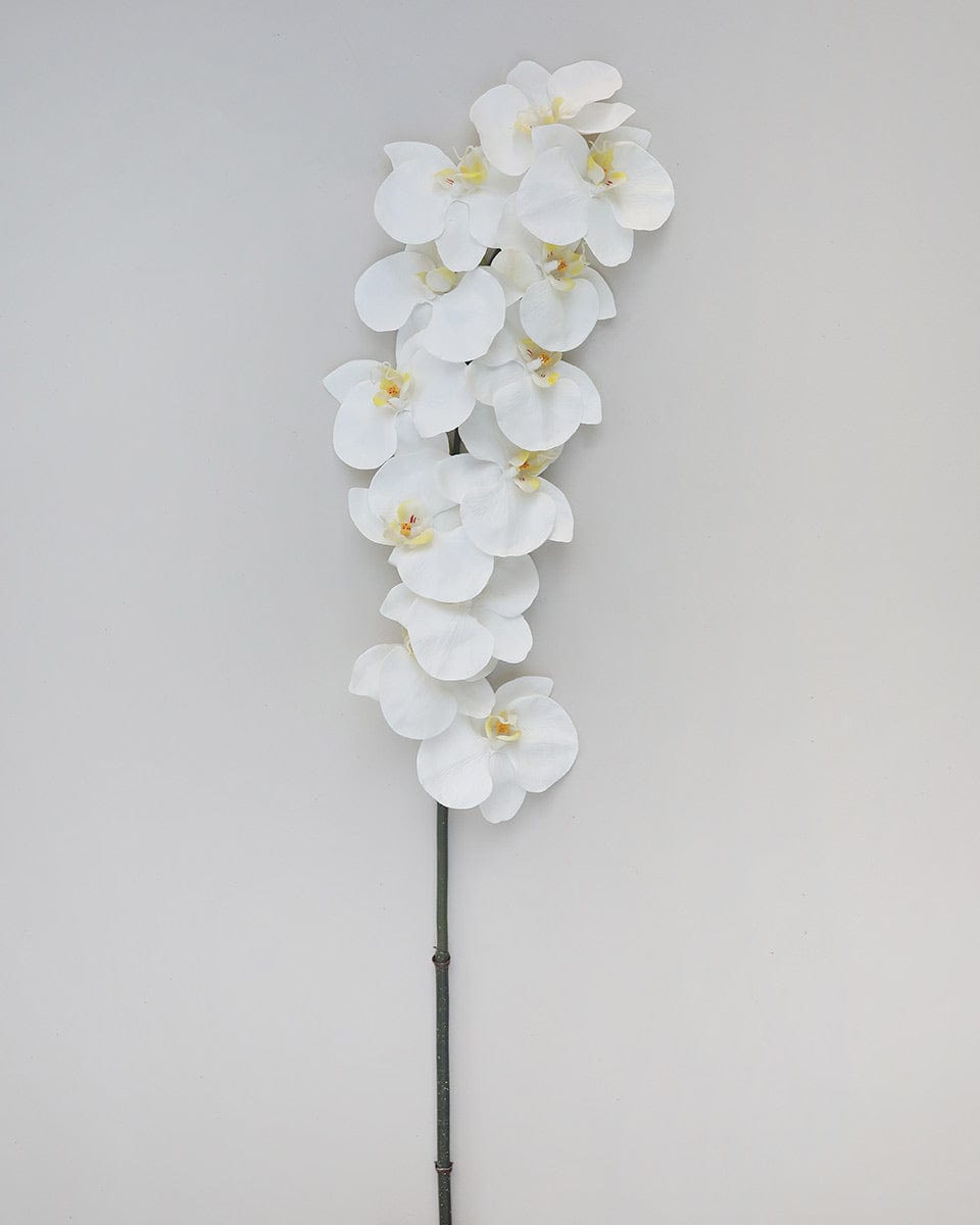 Large White Orchid Phalaenopsis 34" - 5