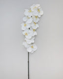 Large White Orchid Phalaenopsis 34" - 5