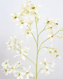 Dancing Oncidium Orchid 46.5" - 5