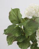 White Double Hydrangea 36" - 5