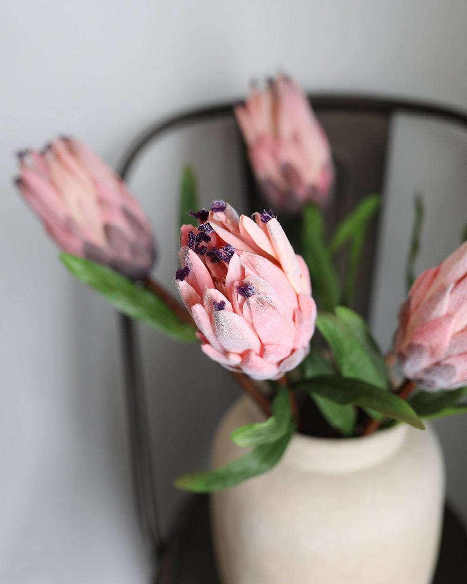 Pink Mink Protea 29" - 5