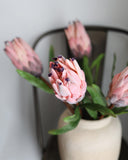 Pink Mink Protea 29" - 5