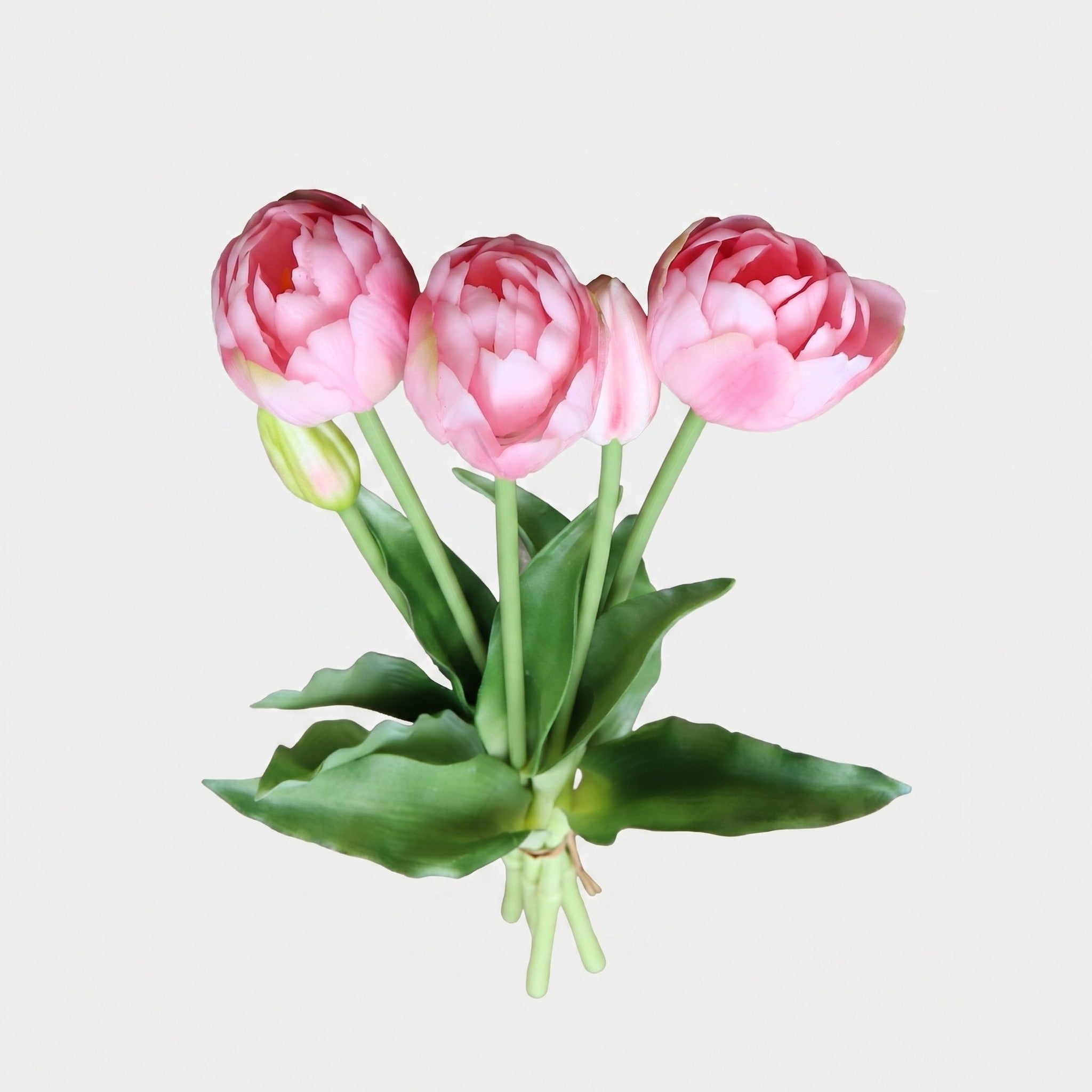 5 Peony & Tulip Bundle - Pink (Studio Gray)