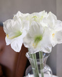 White Artificial Amaryllis 19.5” - 5