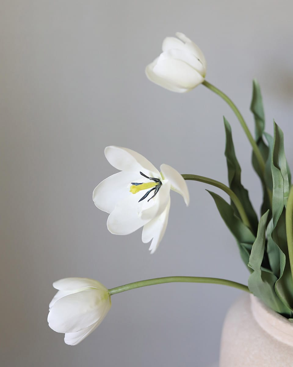 Cream White Tulip 22.5" - 5