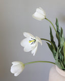 Cream White Tulip 22.5" - 5