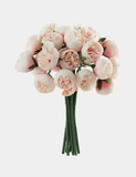 27 Mini Peony Stems Bundle