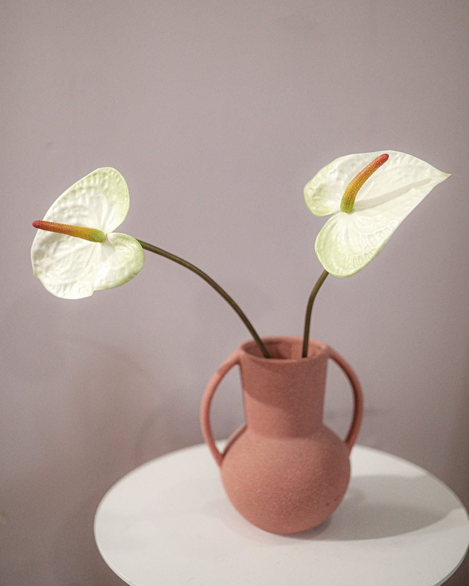 Painters Palette Anthurium 22" - 6
