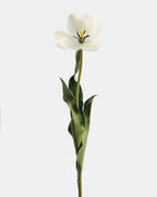 Cream White Tulip 22.5" - 6