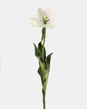 Cream White Tulip 22.5" - 6