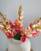 Real Touch Coral Snapdragon 23” - 6