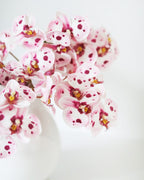 Pink Spotted Phalaenopsis Orchid 22” - 5
