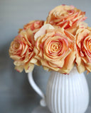 Sunset Dutchess Rose 20" - 6