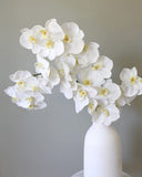 Large White Orchid Phalaenopsis 34" - 6