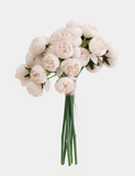 27 Mini Peony Stems Bundle