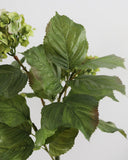 Green Double Hydrangea 36" - 6