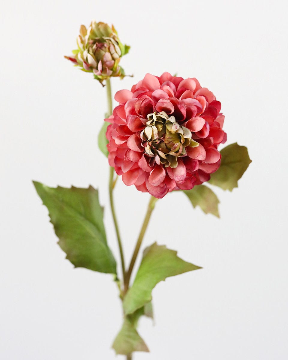 Mauve Dried Look Dahlia 20" - 6