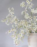 Dancing Oncidium Orchid 46.5" - 6