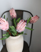 Pink Mink Protea 29" - 6