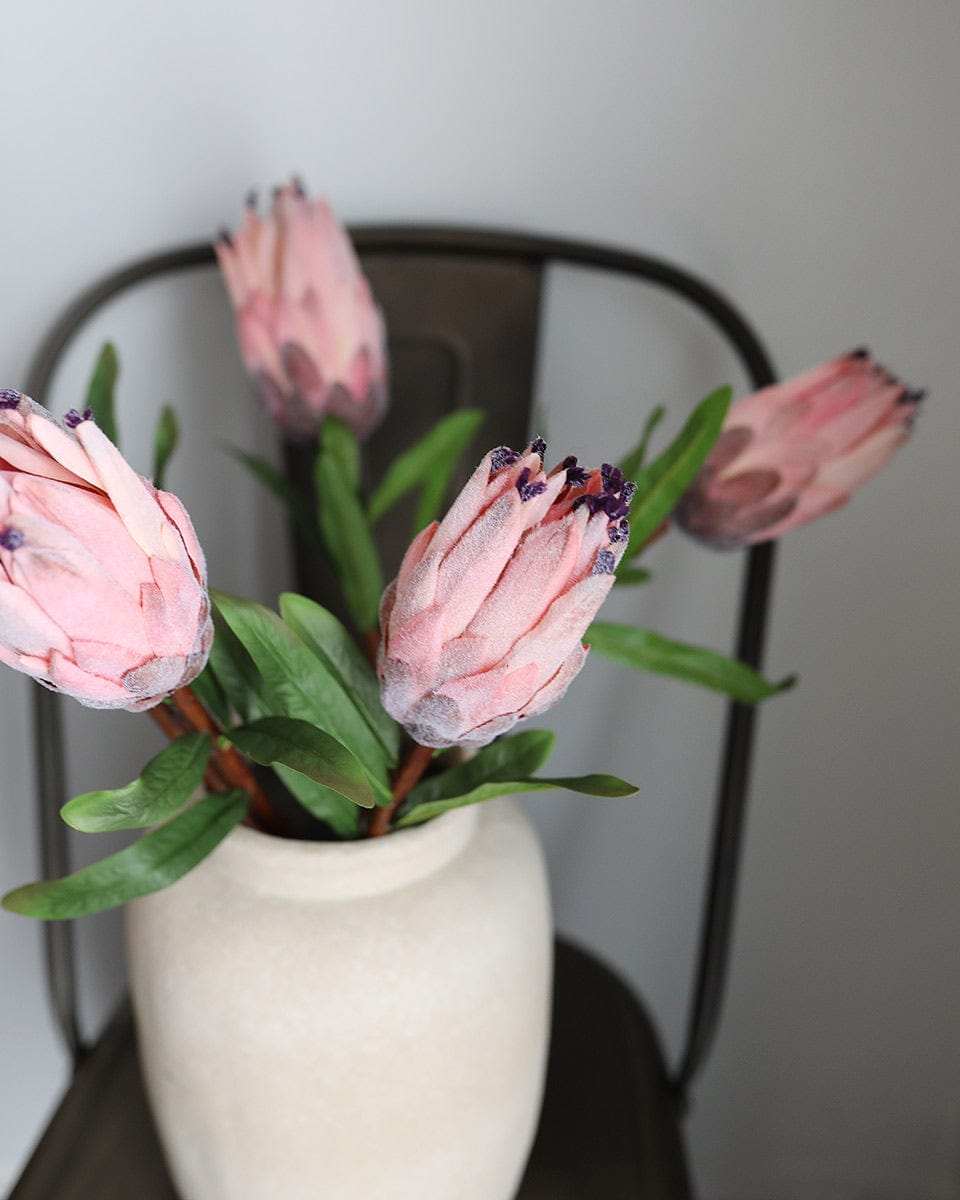 Pink Mink Protea 29" - 6