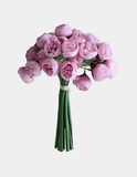 27 Mini Peony Stems Bundle