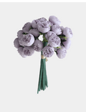 27 Mini Peony Stems Bundle