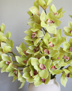 Green Cymbidium Orchid 41.5" - 6