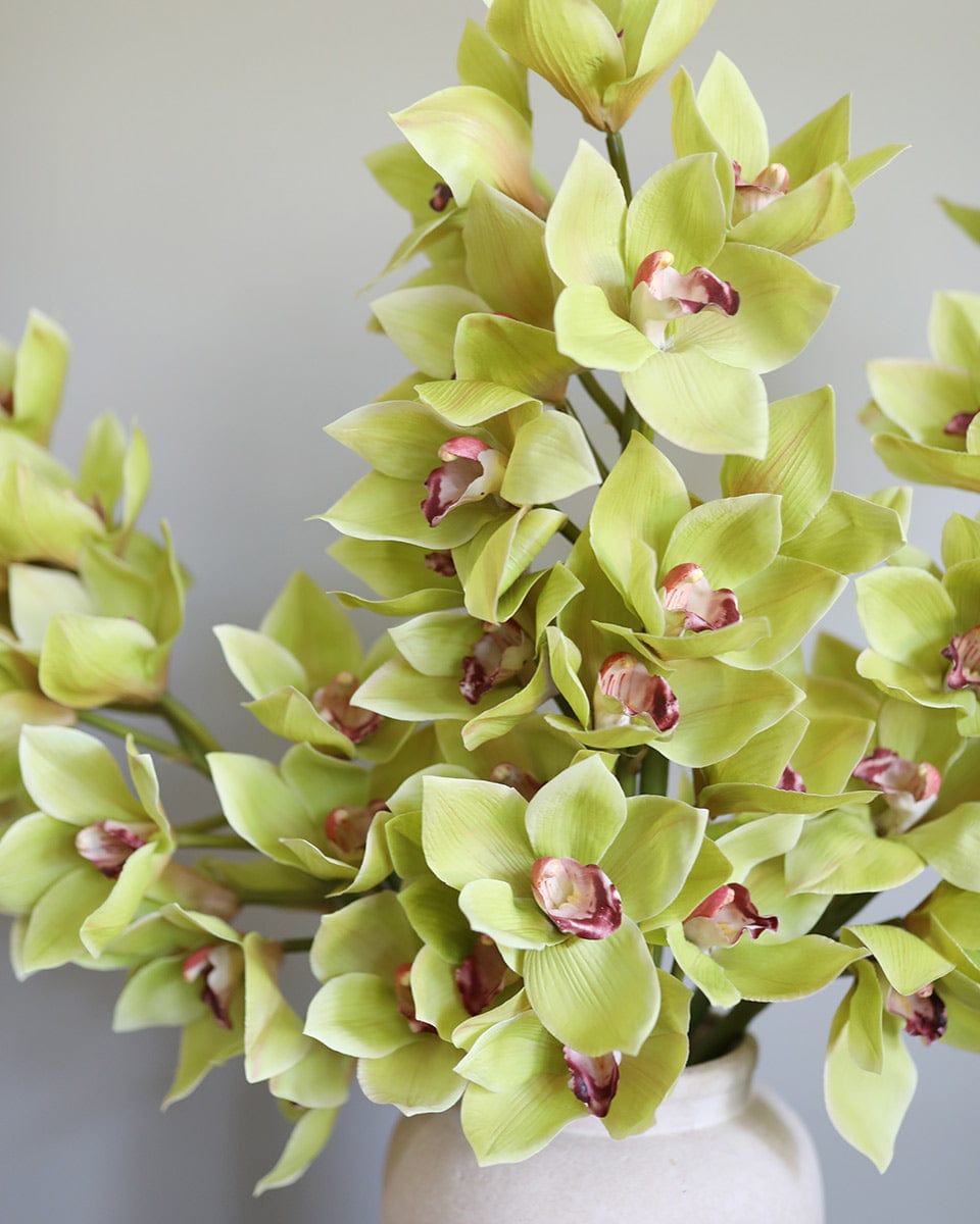 Green Cymbidium Orchid 41.5" - 6