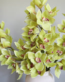 Green Cymbidium Orchid 41.5" - 6