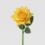 Real Touch Rose Single Stem - Yellow