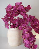Deep Magenta Phalaenopsis Orchid 34" - 7