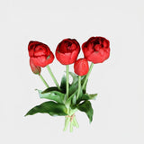 5 Peony & Tulip Bundle - Red (Studio Gray)