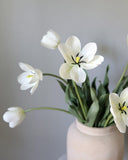 Cream White Tulip 22.5" - 7
