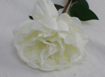 Large Real Touch Peony Single Stem - White