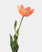 Yellow Orange Tulip 22.5" - 7
