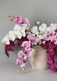 Large White Orchid Phalaenopsis 34" - 8