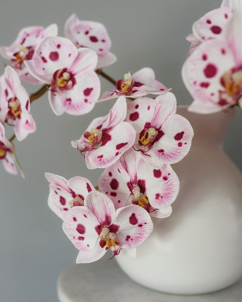 Pink Spotted Phalaenopsis Orchid 22” - 7