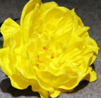 Large Real Touch Peony Single Stem - Yellow