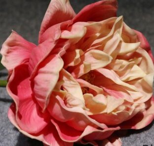 Large Real Touch Peony Single Stem Secondary image