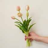 5 Real Touch Rubber Tulip Bundle - Nude Pink