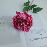 Large Real Touch Peony Single Stem - Rose