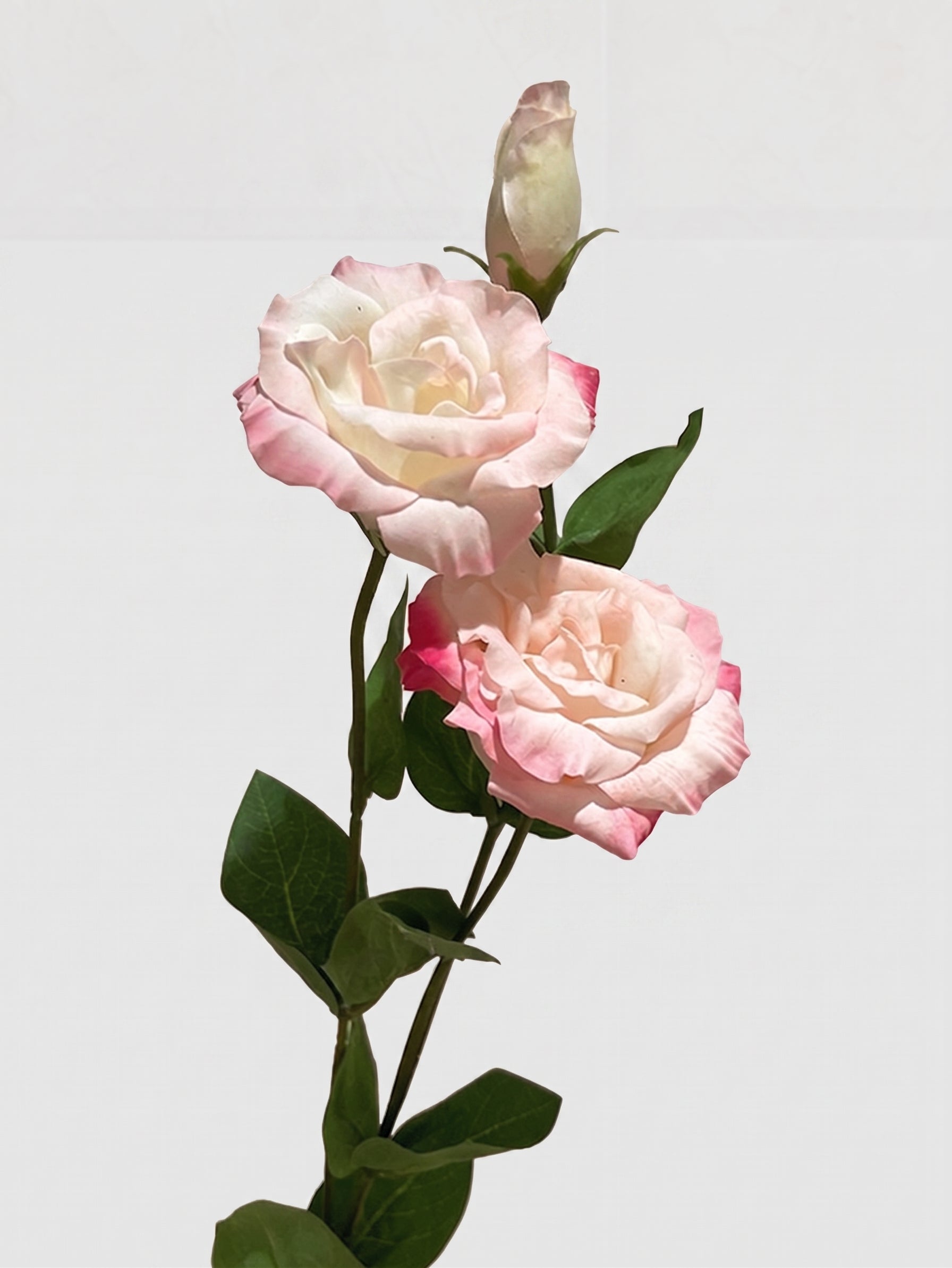 Real Touch Lisianthus Stem | Faux Eustoma with Bud and Foliage - Light Pink Main image