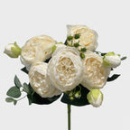21.5-in Silk Peony Stem Bundle - White