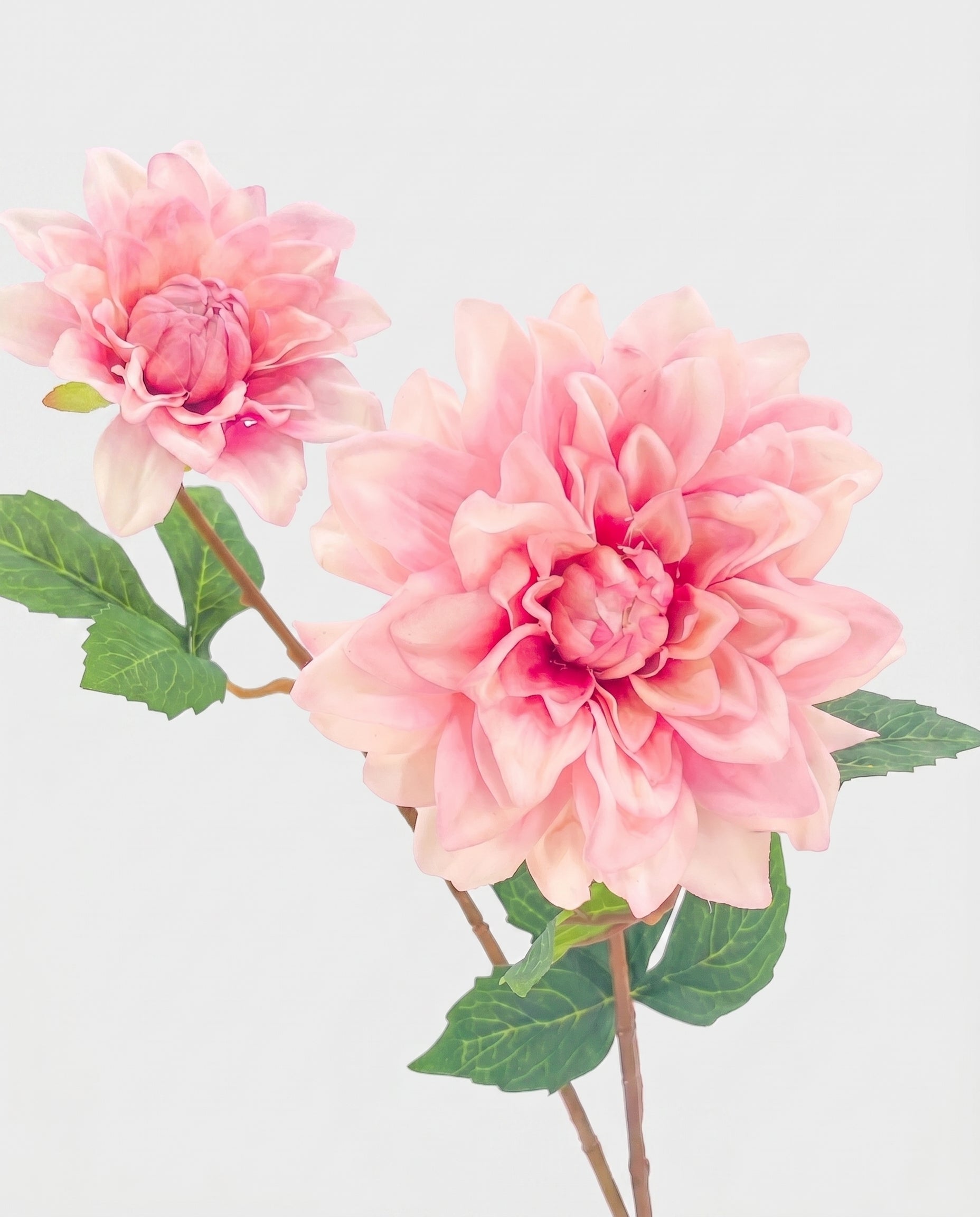 Real Touch Dahlia Stem | Light Pink Faux Dahlia 22" - Light Pink (extra)