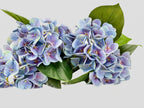 Real Touch Hydrangea Stem, Lifelike Faux Hydrangea Cluster - Blue (extra)