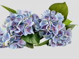 Real Touch Hydrangea Stem, Lifelike Faux Hydrangea Cluster - Blue (extra)