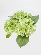 Real Touch Hydrangea Stem, Lifelike Faux Hydrangea Cluster - Green (extra)
