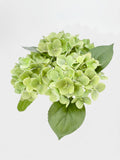 Real Touch Hydrangea Stem, Lifelike Faux Hydrangea Cluster - Green (extra)