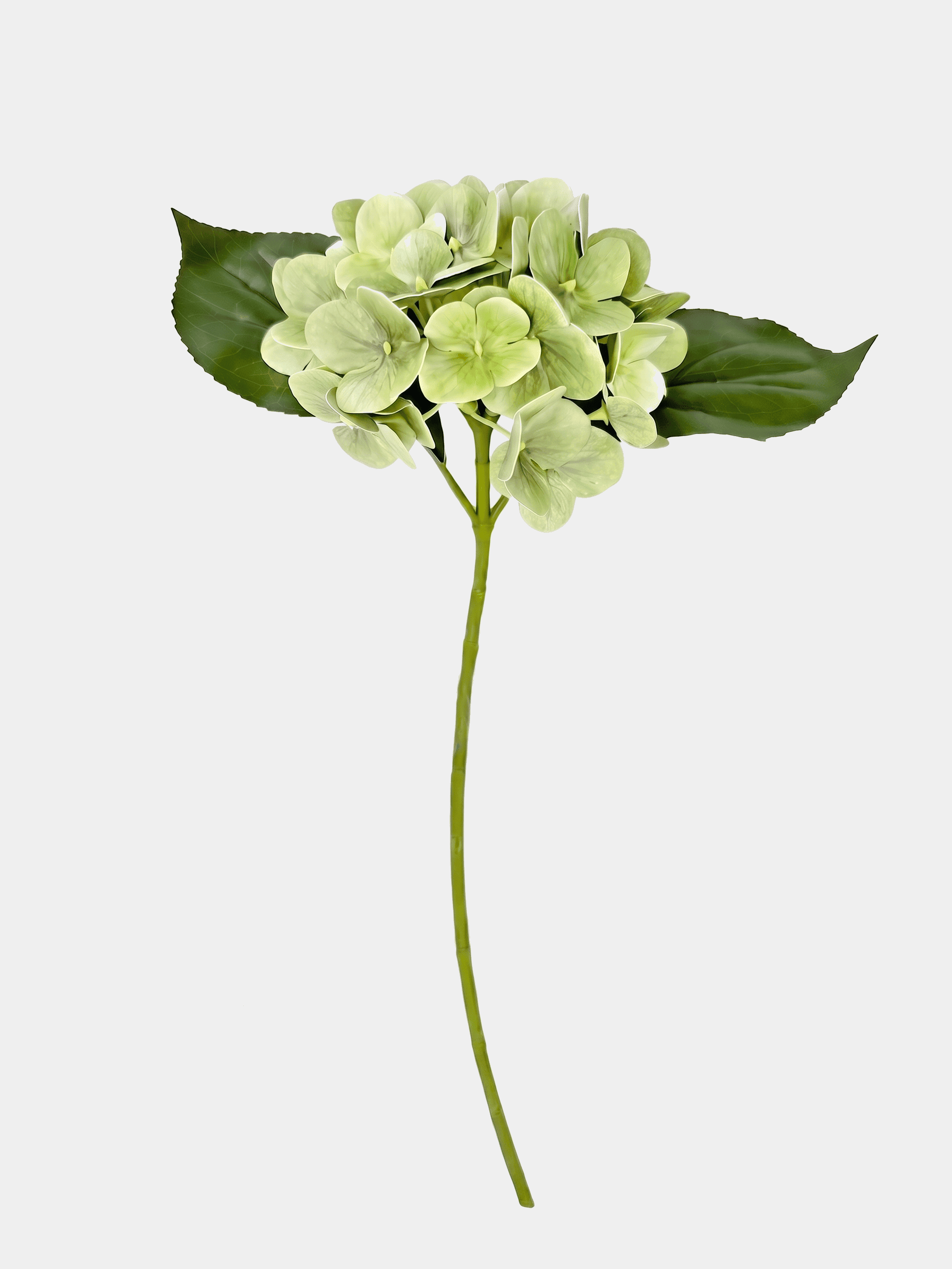 Real Touch Hydrangea Stem, Lifelike Faux Hydrangea Cluster - Green