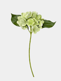 Real Touch Hydrangea Stem, Lifelike Faux Hydrangea Cluster - Green